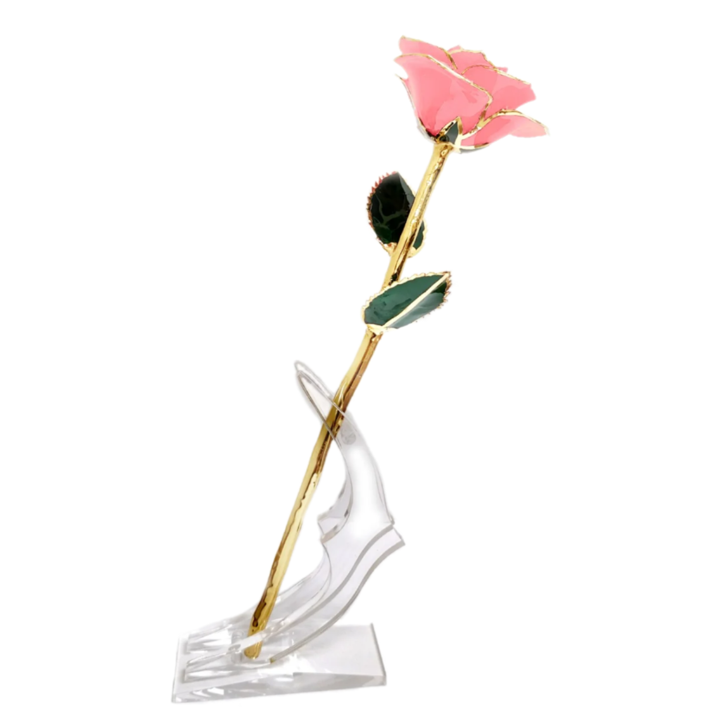 24kt Gold Dipped Genuine Rose-Pretty in Pink