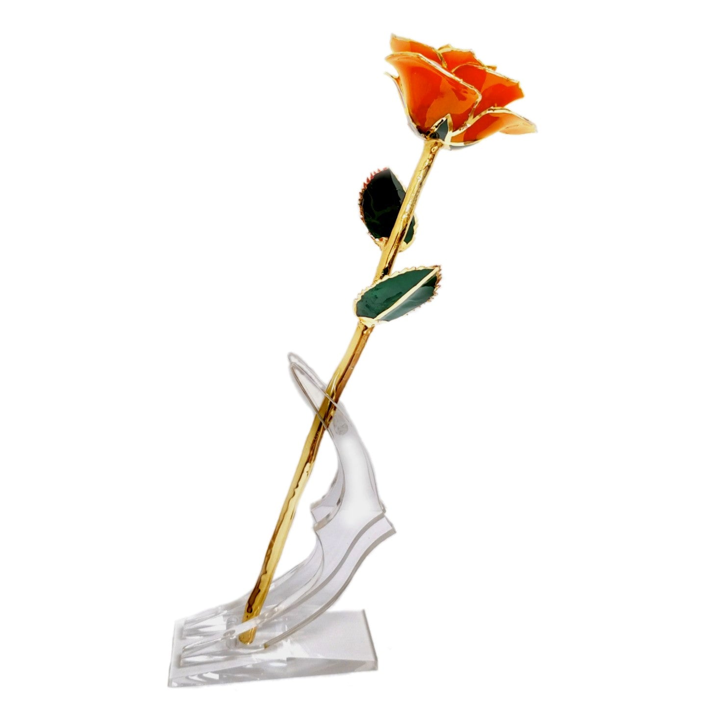 24kt Gold Dipped Genuine Rose-Orange