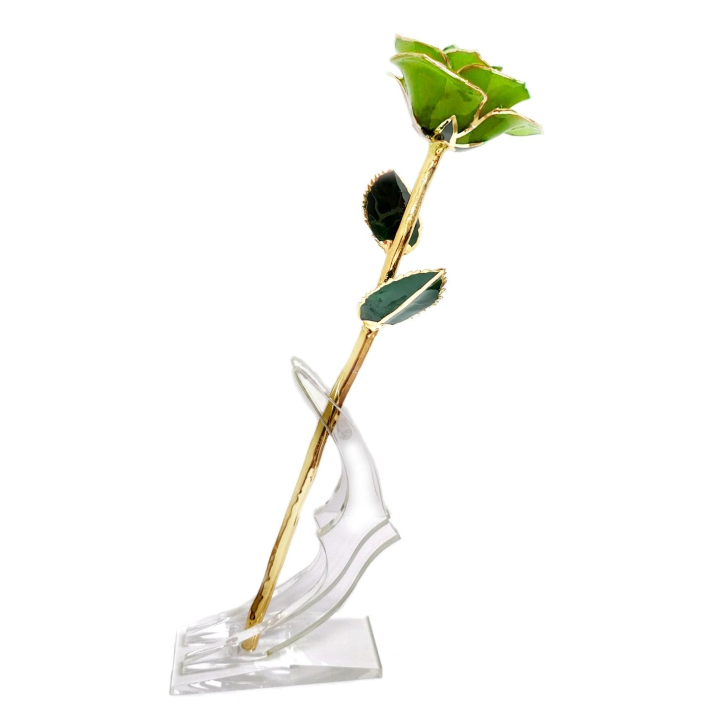 24kt Gold Dipped Genuine Rose-Mossy Green