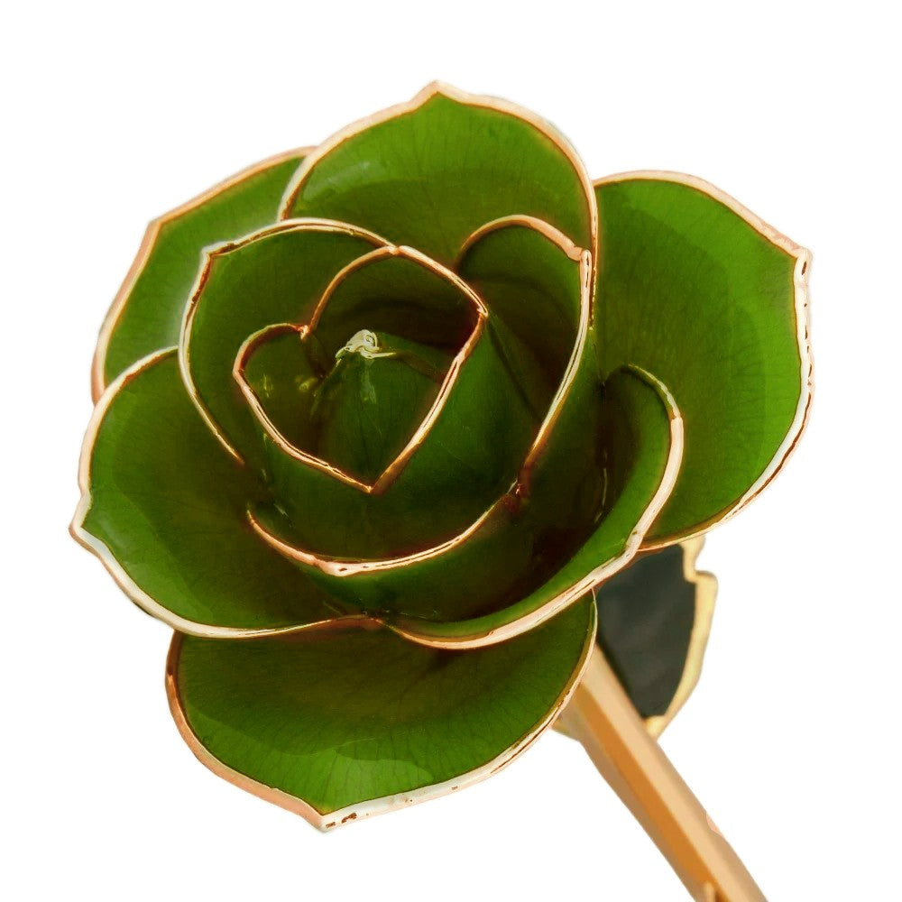 24kt Gold Dipped Genuine Rose-Mossy Green
