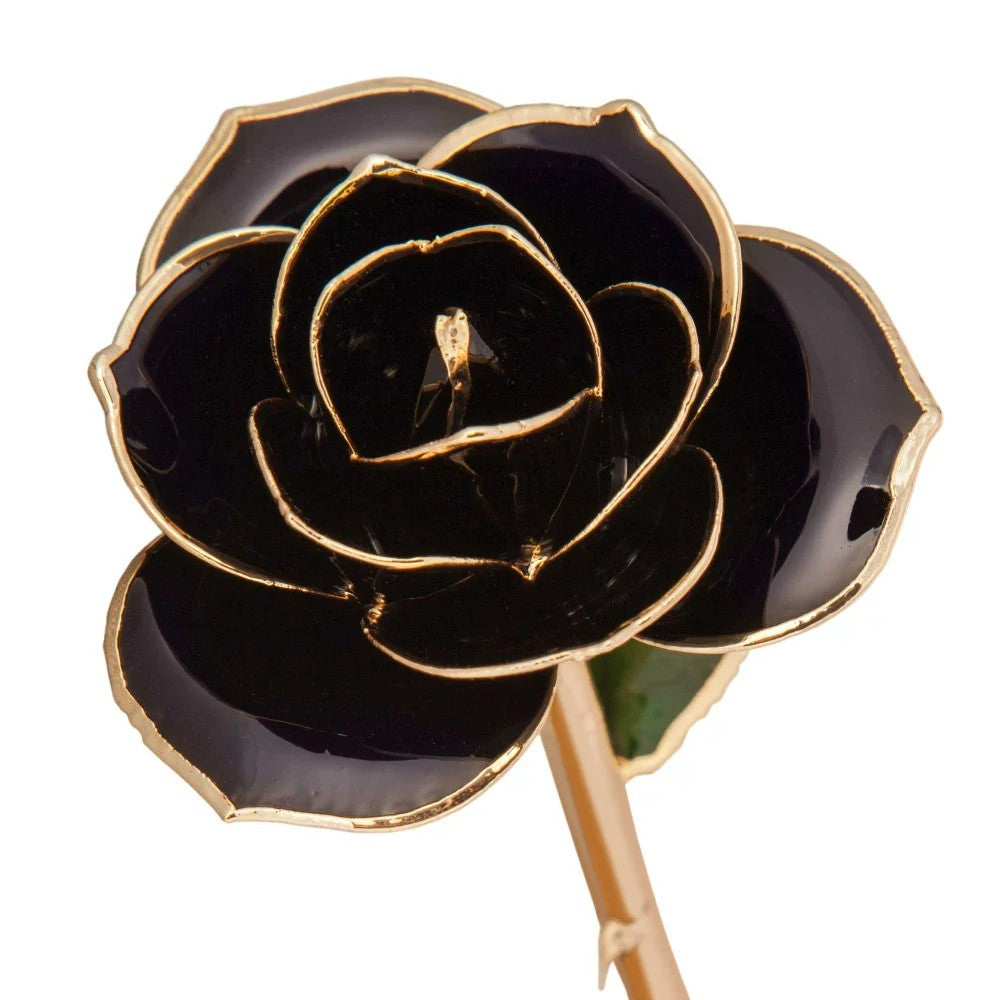 24kt Gold Dipped Genuine Rose-Black