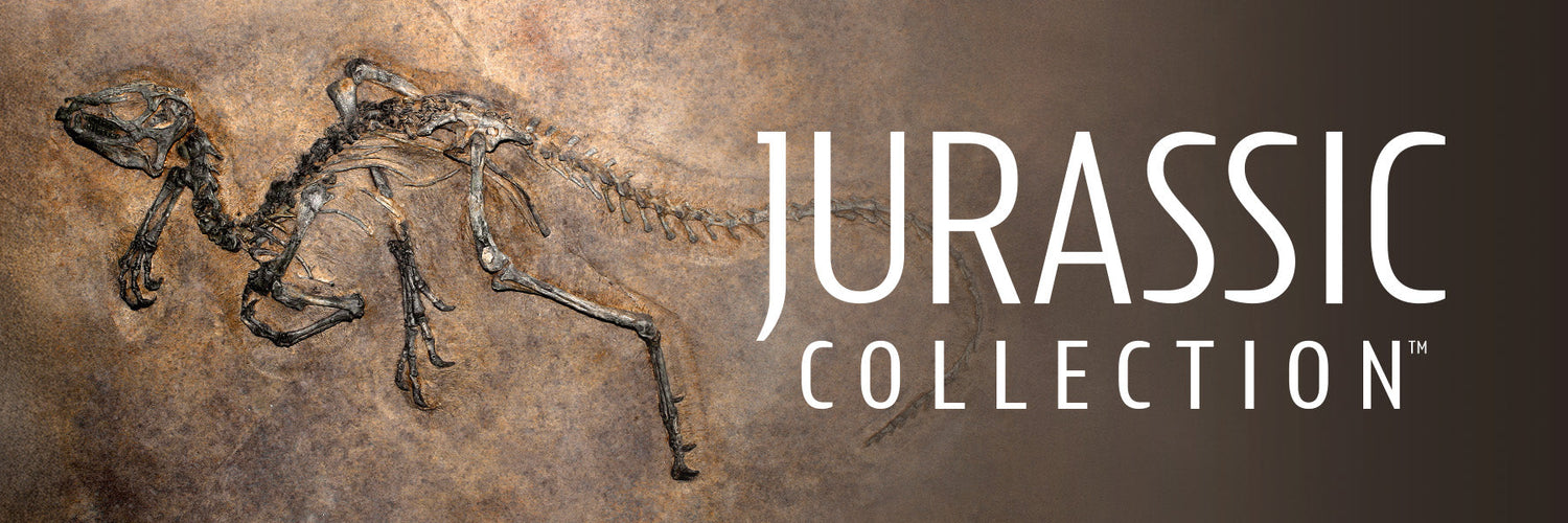 Jurassic Collection